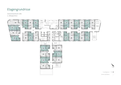 Seniorenzentrum Celle, Celle