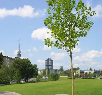 Moderne Wohnsuiten, München