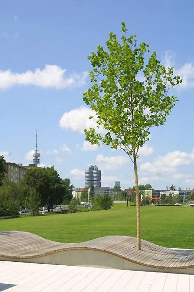 Moderne Wohnsuiten, München