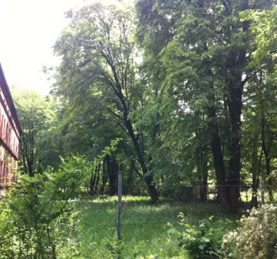 Domus Nobilis, Augsburg