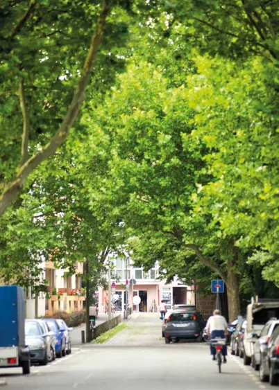 Kreutzerstraße, Nürnberg