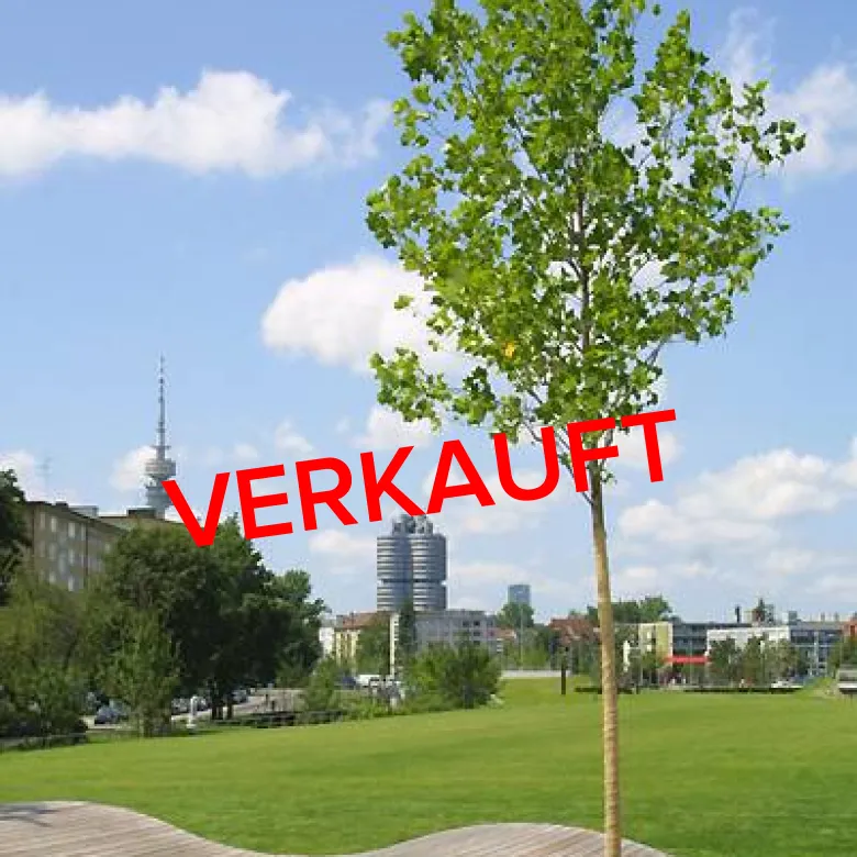 Moderne Wohnsuiten, Foto 3