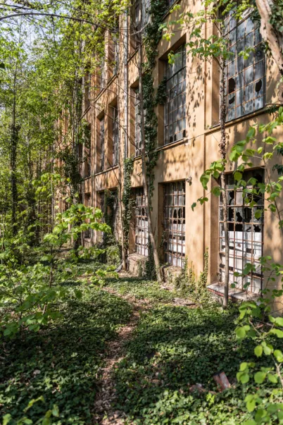 Wurzener Teppichfabrik, Leipzig