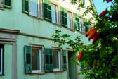 Alte Mühle - Bad Dürkheim